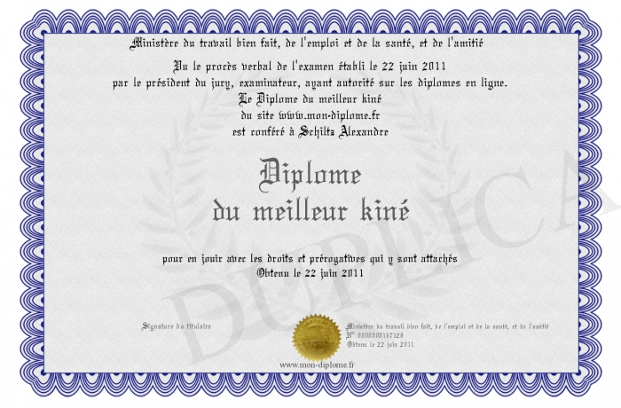 diplome universitaire kine